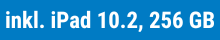 iPad 10.2 256 GB
